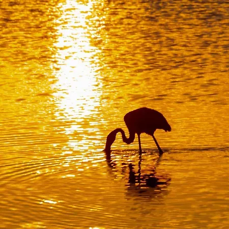 Lägenhet Comfort, Your Retreat